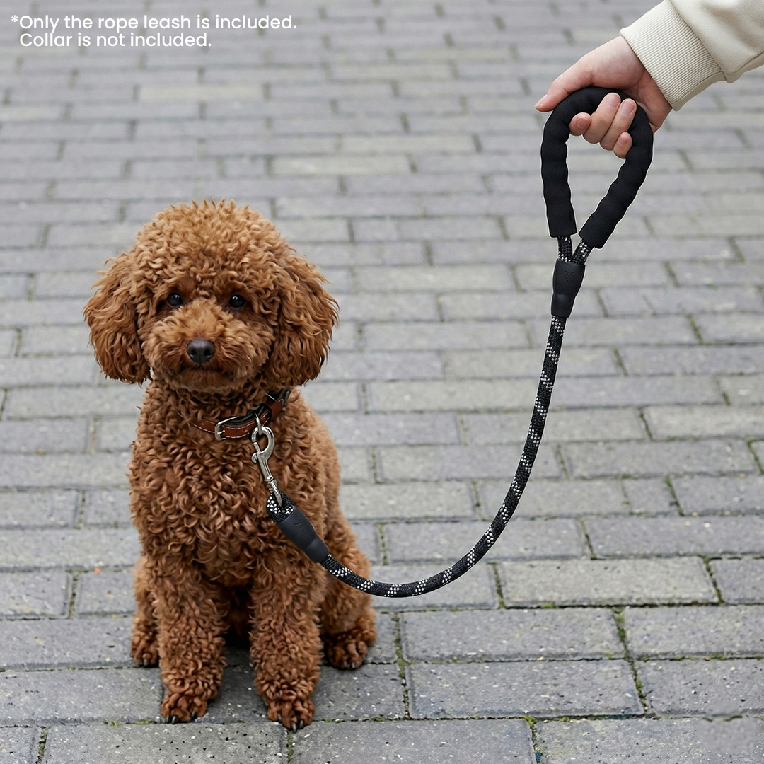 Premium Dog Leash Rope With Grip 12mm