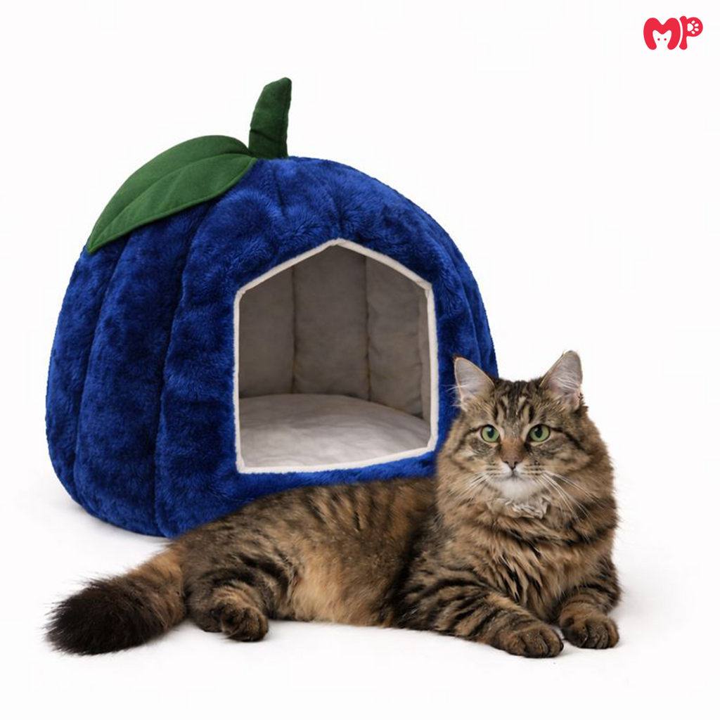 Pumpkin Pet House - Soft Toy House For Cats/Dogs - Munchix Pro