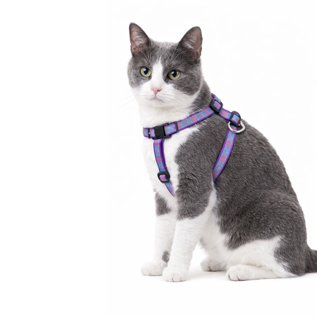 Reflective Harness Set 10mm - For Cats & Kittens