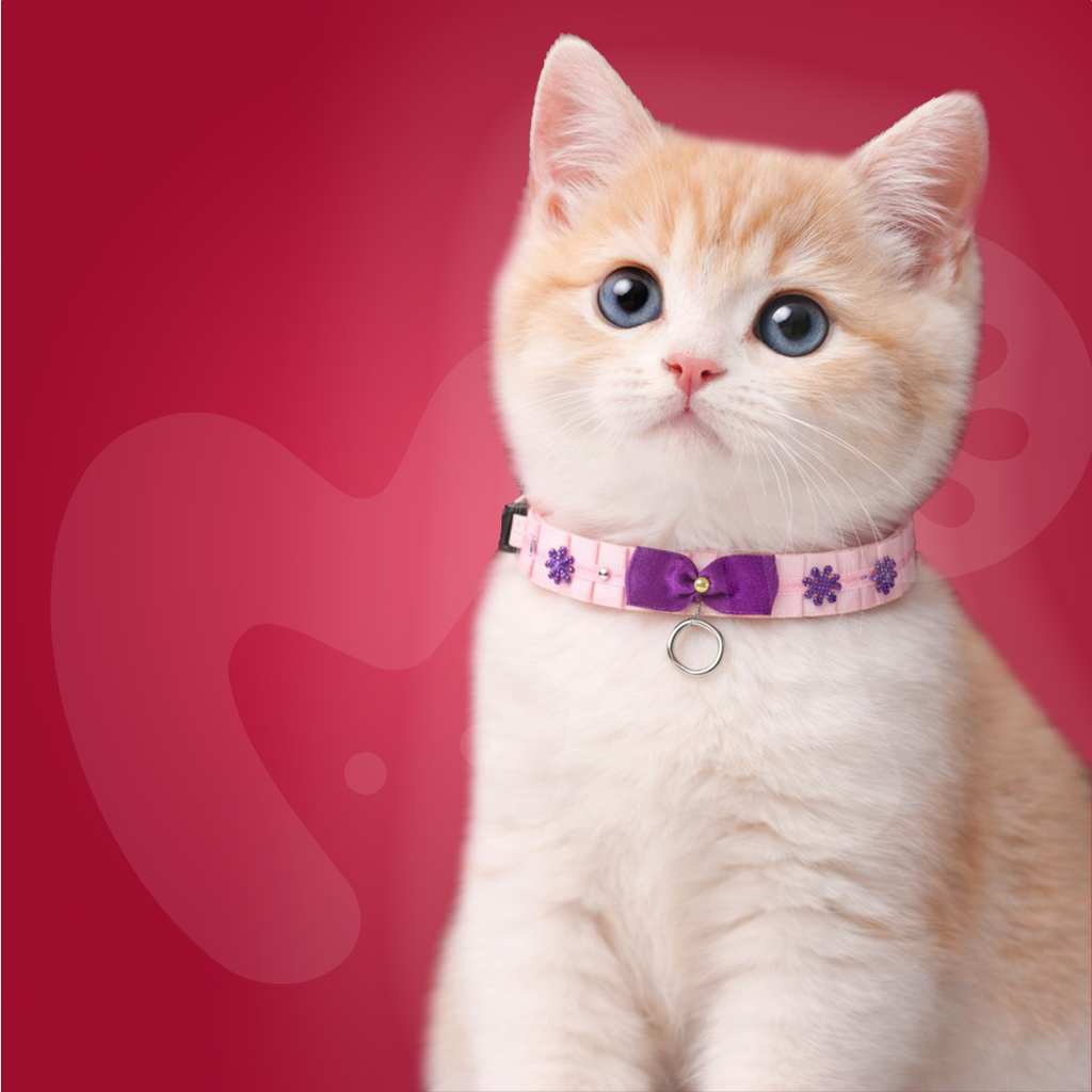 Stylish Neck Collar For Cats