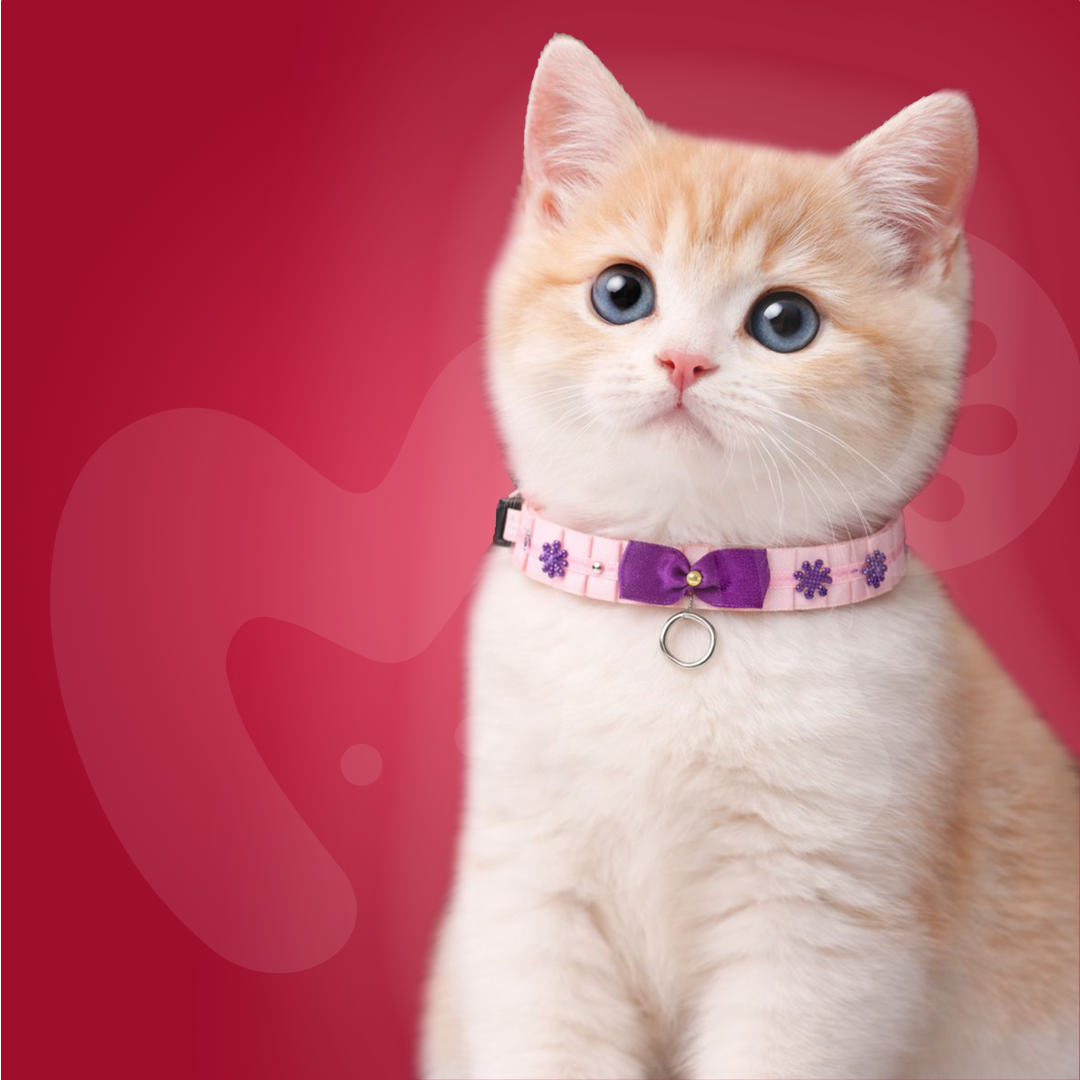 Stylish Neck Collar For Cats