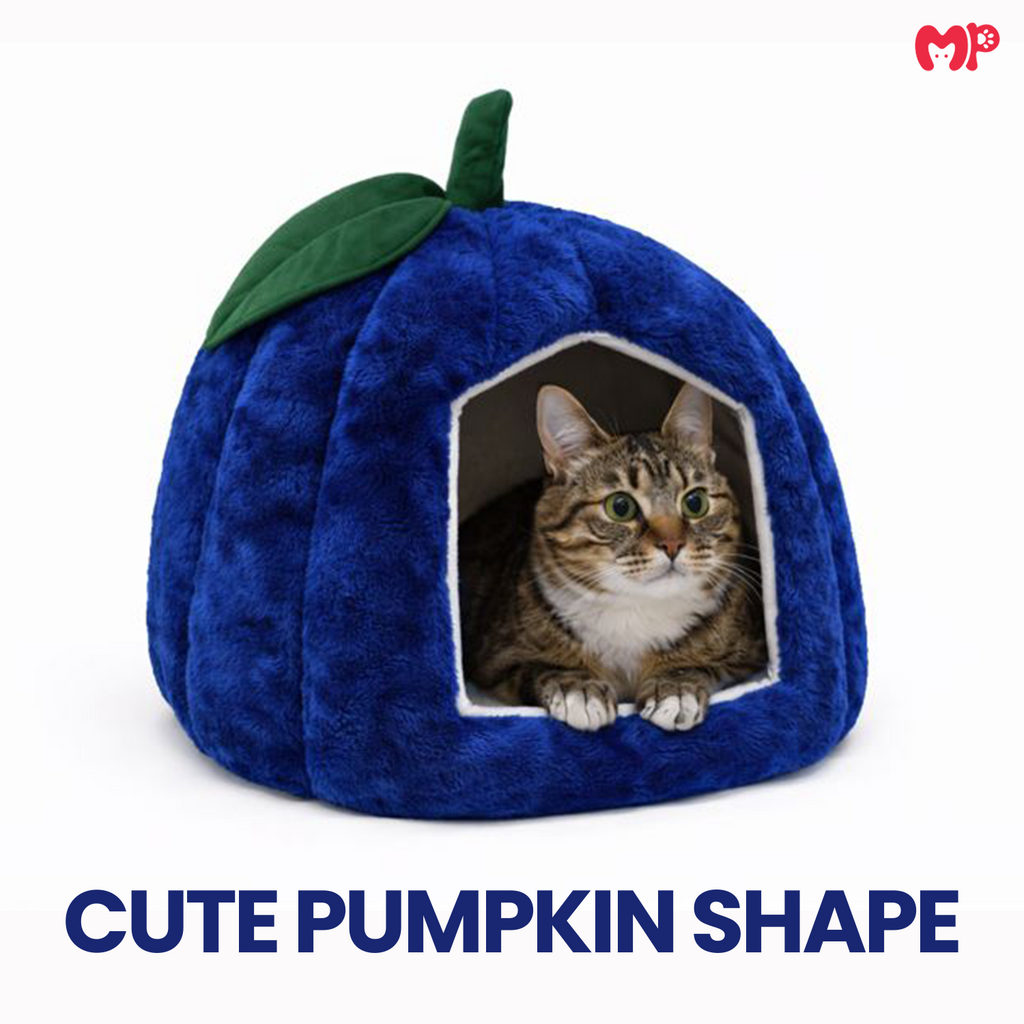 Pumpkin Pet House - Soft Toy House For Cats/Dogs - Munchix Pro