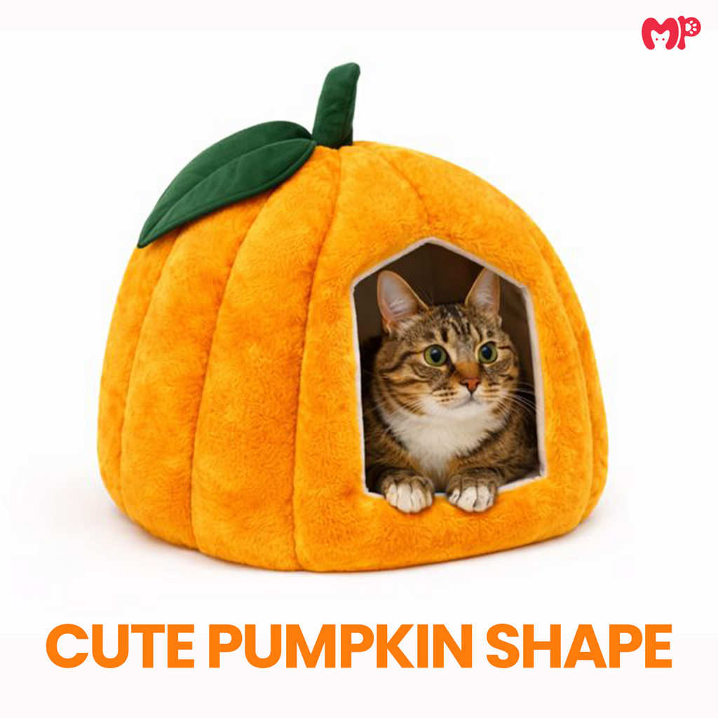 Pumpkin Pet House - Soft Toy House For Cats/Dogs - Munchix Pro