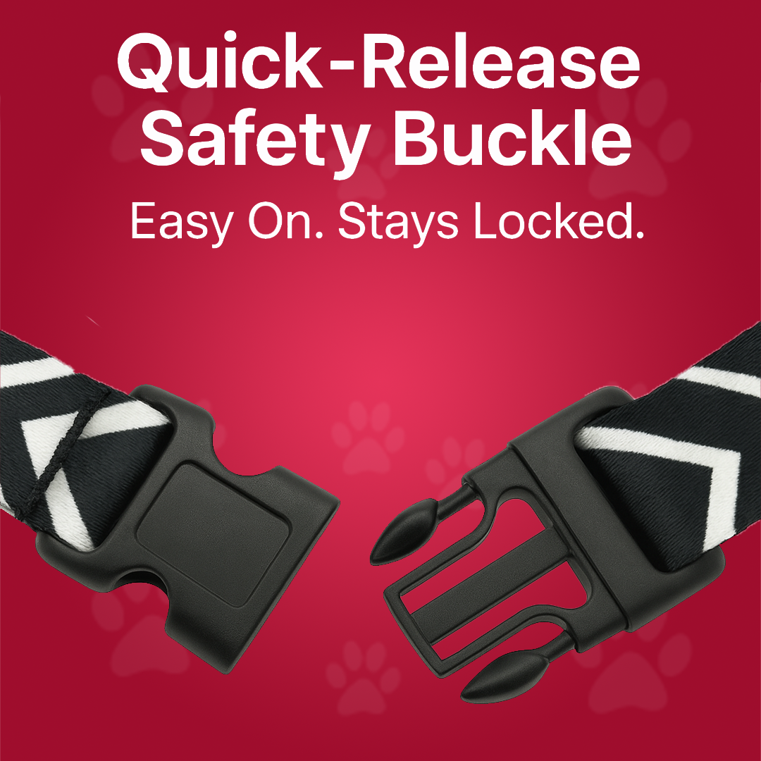 Printed Dog Leash & Collar Set 1.0 inch