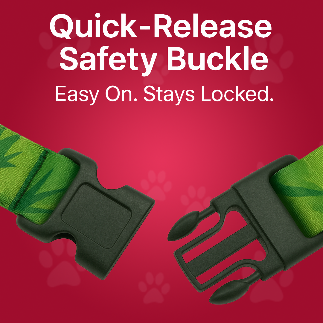 Printed Dog Leash & Collar Set 1.0 inch