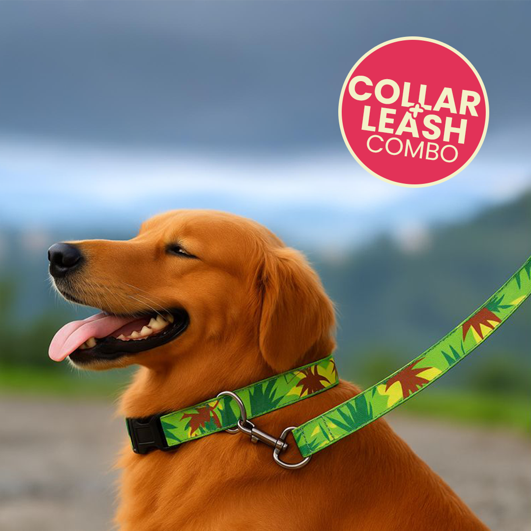 Printed Dog Leash & Collar Set 1.0 inch