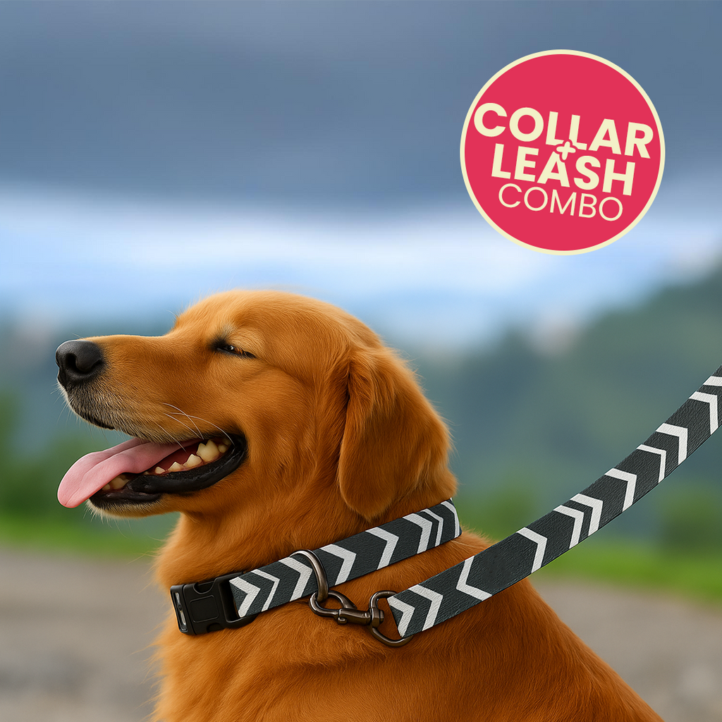 Printed Dog Leash & Collar Set 1.0 inch