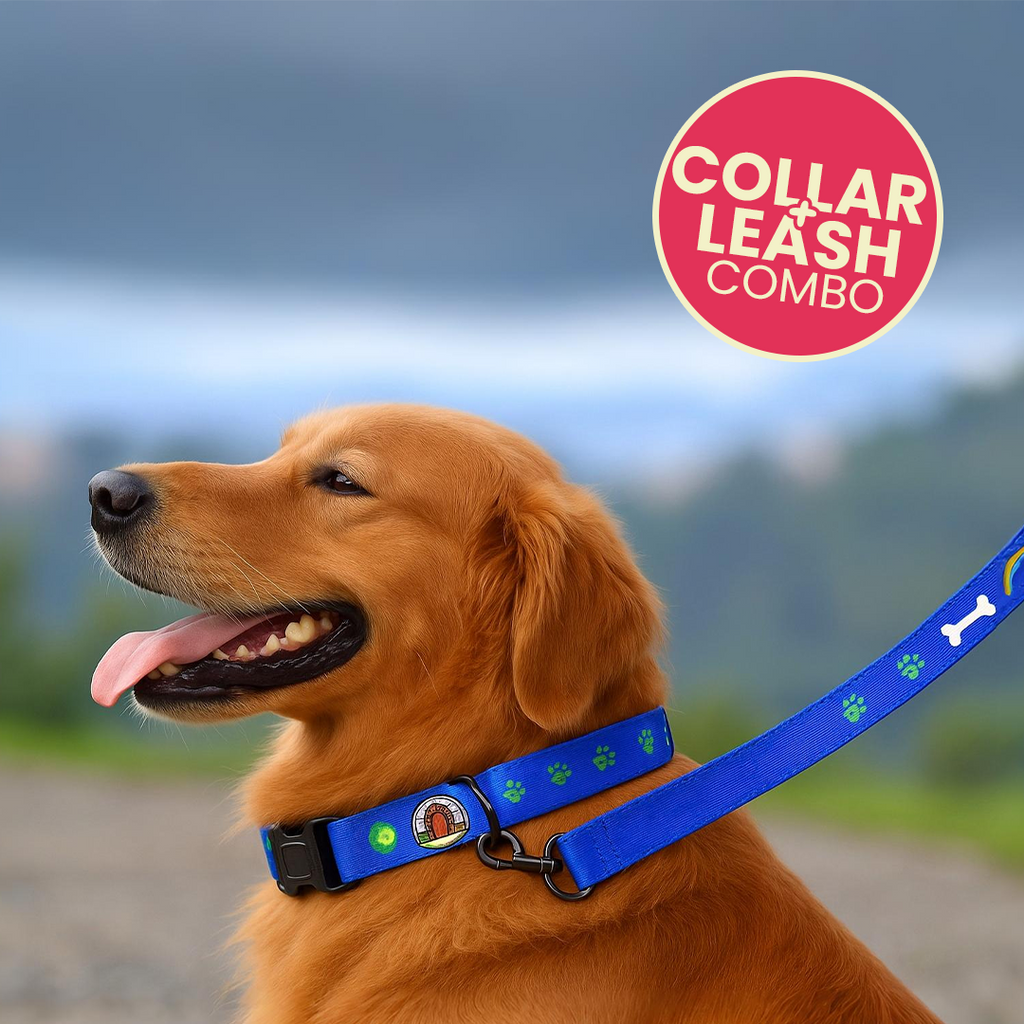 Printed Dog Leash & Collar Set 1.0 inch