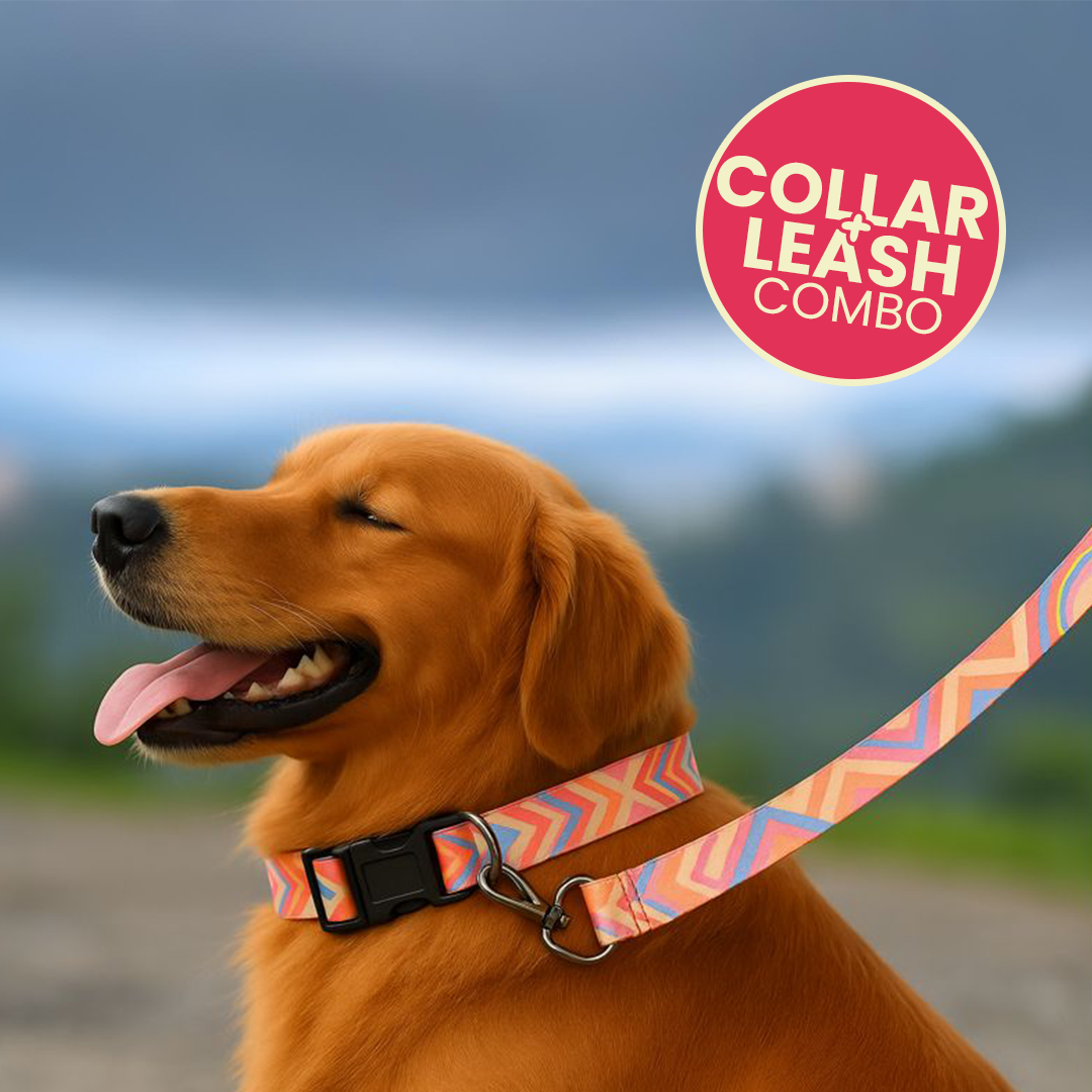 Printed Dog Leash & Collar Set 1.0 inch