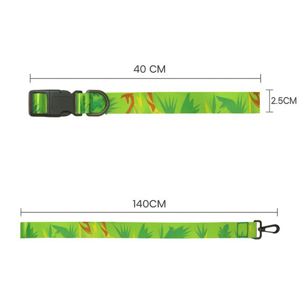 Printed Dog Leash & Collar Set 1.0 inch