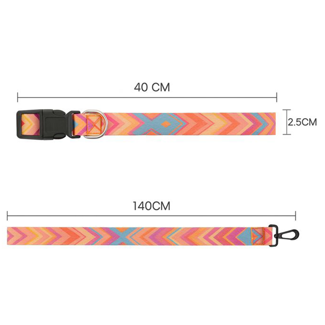 Printed Dog Leash & Collar Set 1.0 inch
