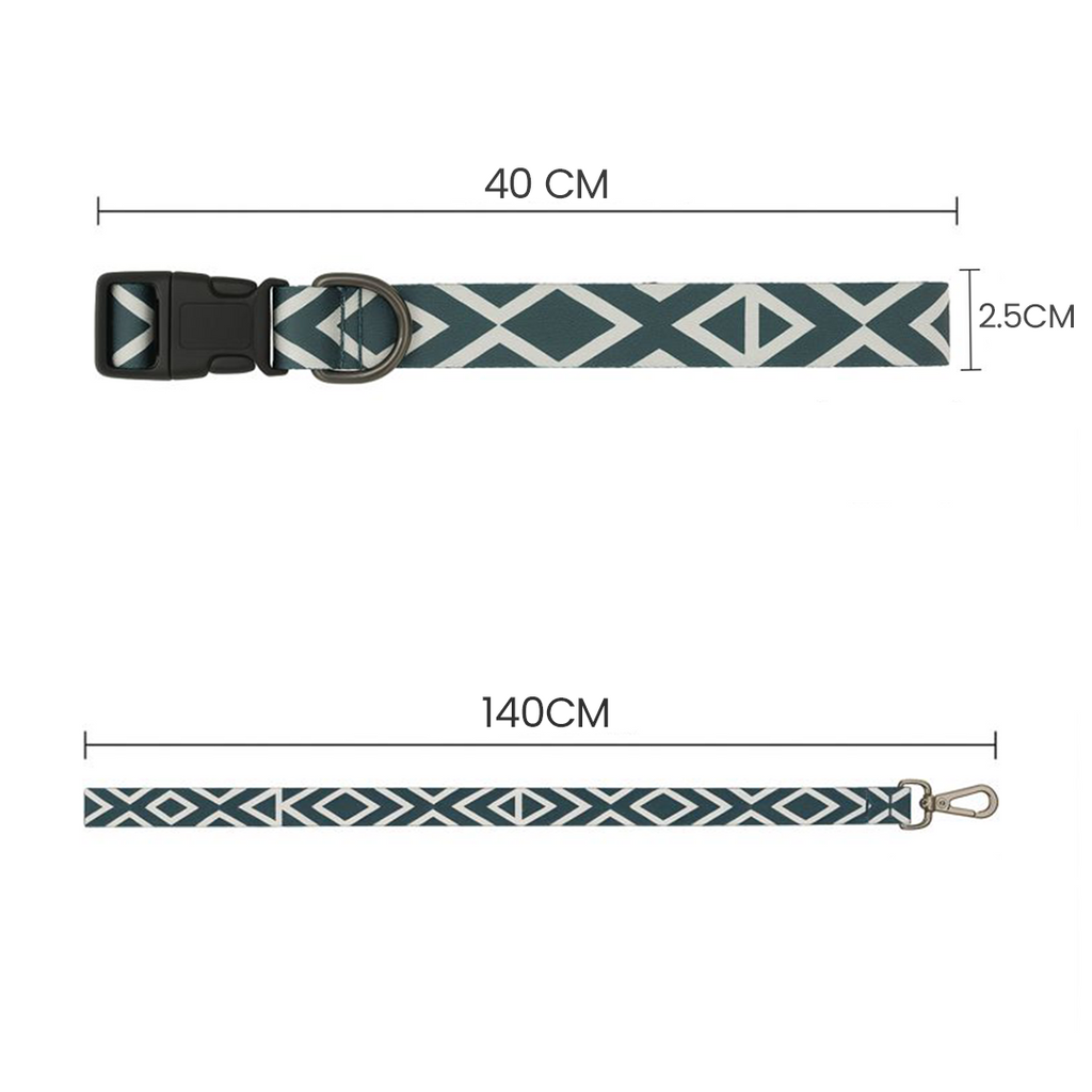 Printed Dog Leash & Collar Set 1.0 inch