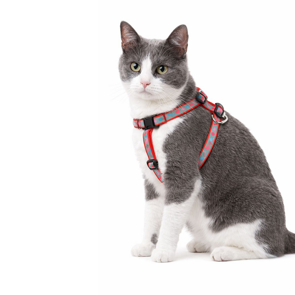 Reflective Harness Set 10mm - For Cats & Kittens