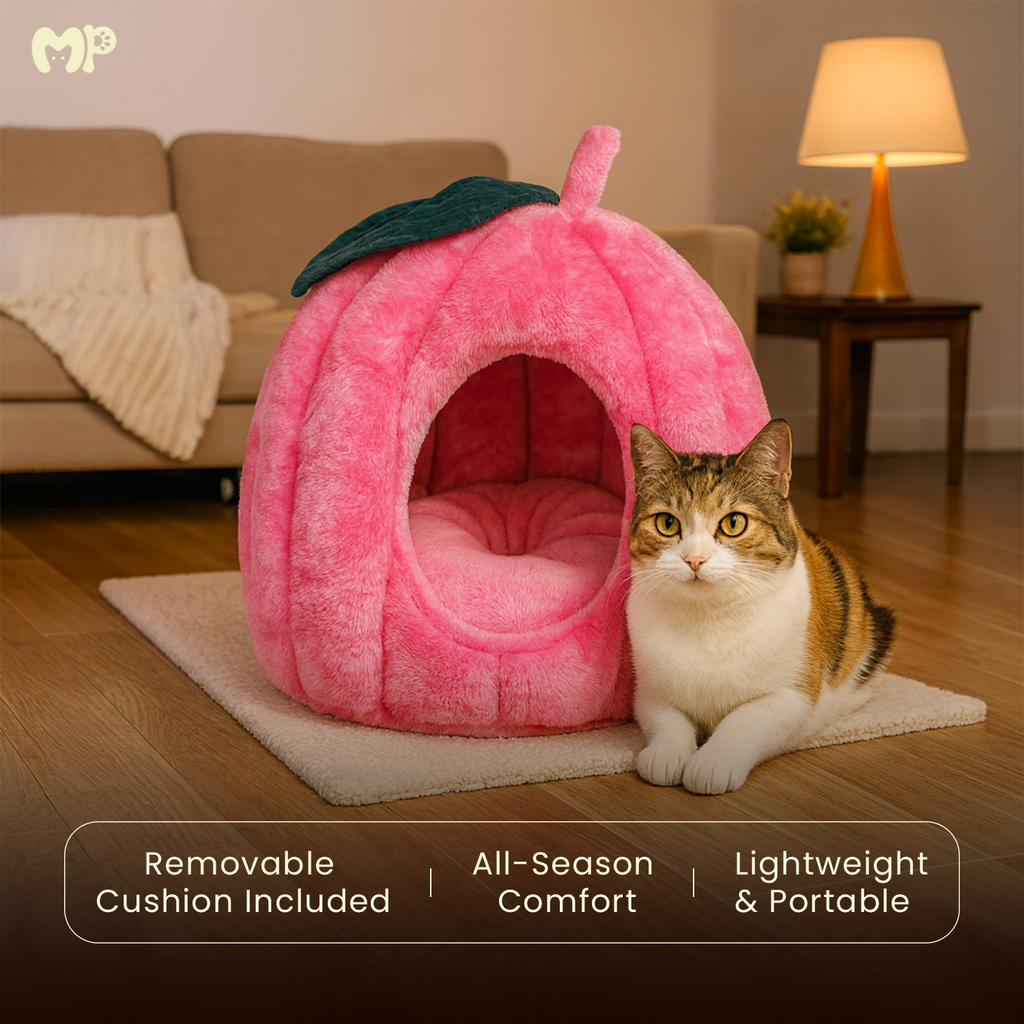 Pumpkin Pet House - Soft Toy House For Cats/Dogs - Munchix Pro