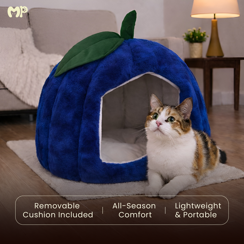 Pumpkin Pet House - Soft Toy House For Cats/Dogs - Munchix Pro