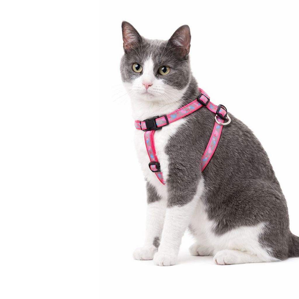 Reflective Harness Set 10mm - For Cats & Kittens