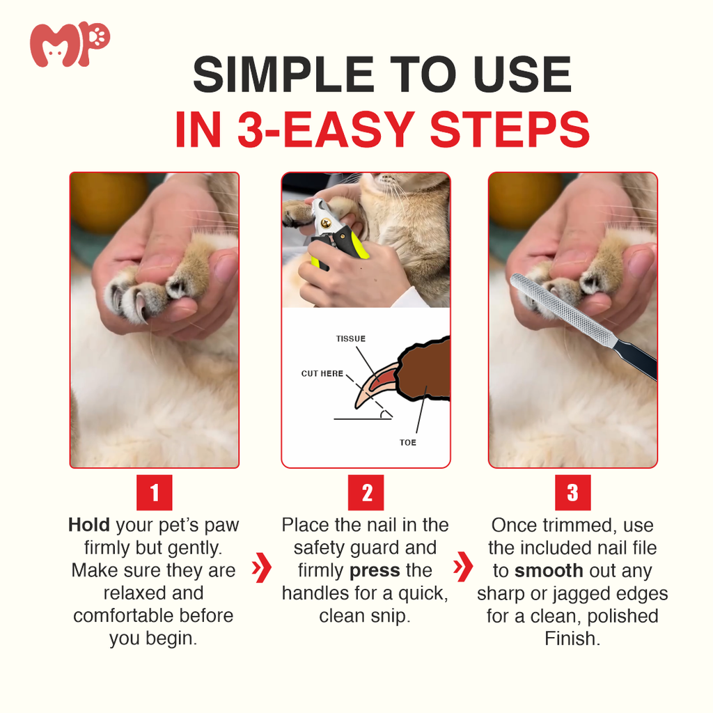 Professional Pet Nail Clippers and File Set for Dogs & Cats | Heavy Duty Stainless Steel Trimmer | Safety Guard to Avoid Over-Cutting | Non-Slip Ergonomic Handles