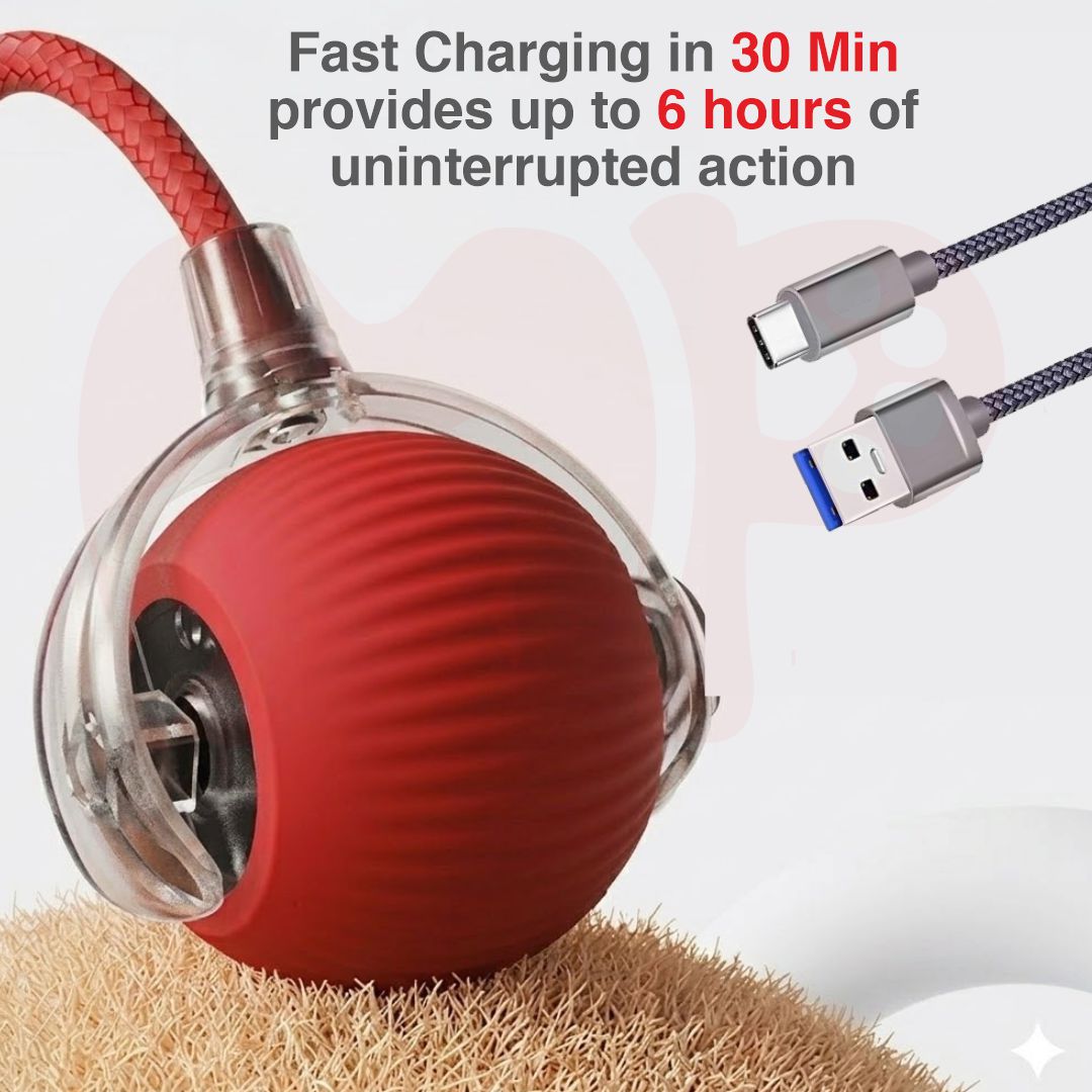 Self-Moving Interactive Pet Ball Toy with LED Light | 360 Automatic Movement | Smart Obstacle Avoidance | Rope | for Dogs and Cats
