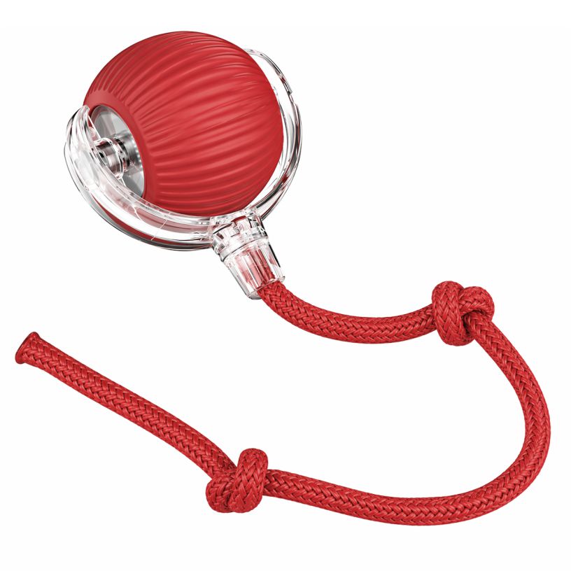 Self-Moving Interactive Pet Ball Toy with LED Light | 360 Automatic Movement | Smart Obstacle Avoidance | Rope | for Dogs and Cats