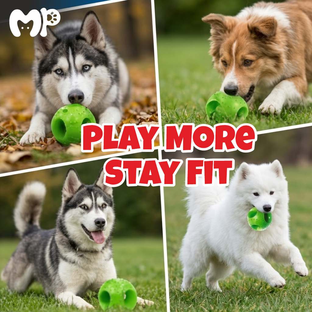 Interactive PVC Pet Disco Ball for Dogs & Cats | Durable Non-Toxic Bouncy Chase Ball | Geometric Treat Holes | Textured Massage Studs | Boredom Relief & Exercise
