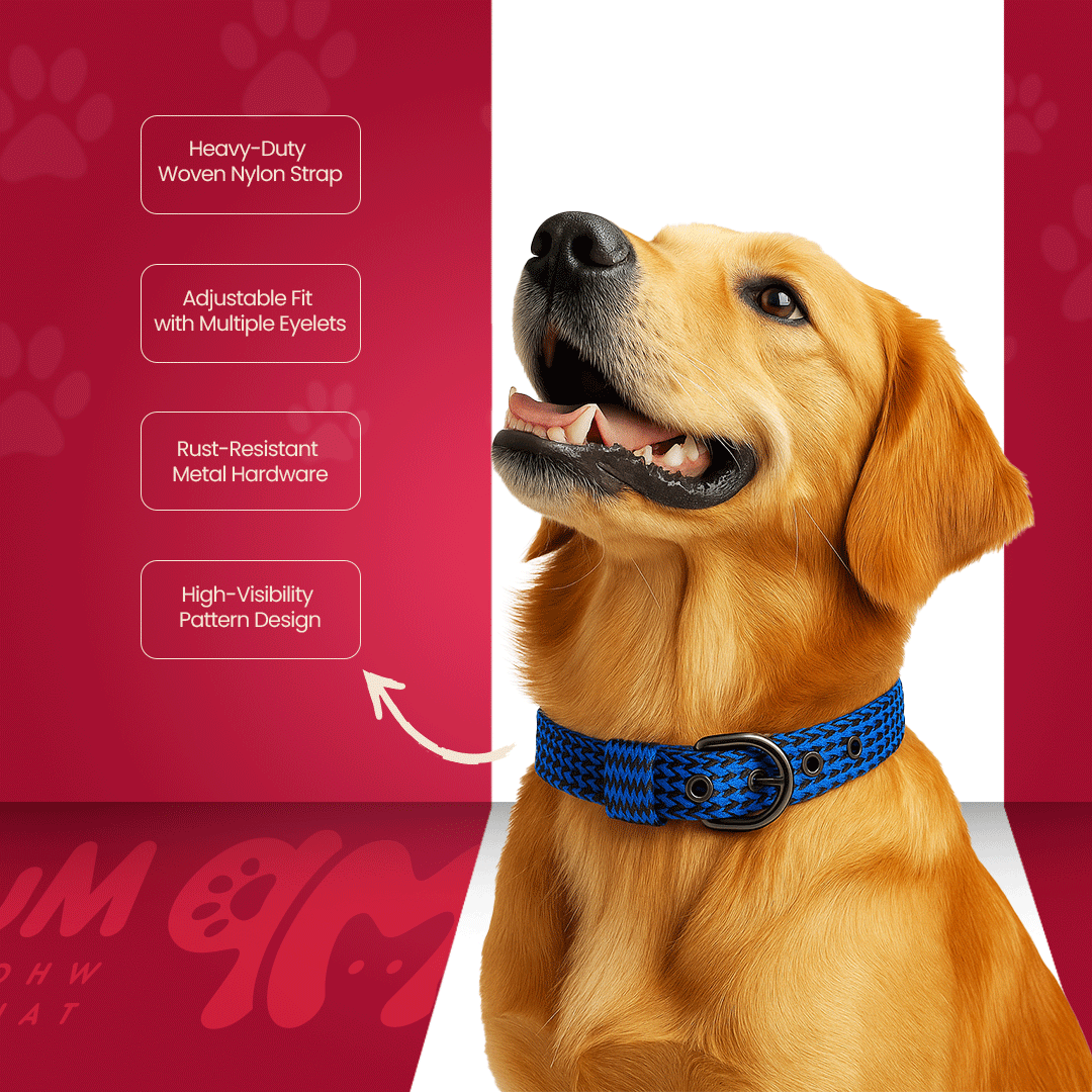 Nylon Itch Collar 0.75inch For Dogs & Puppy