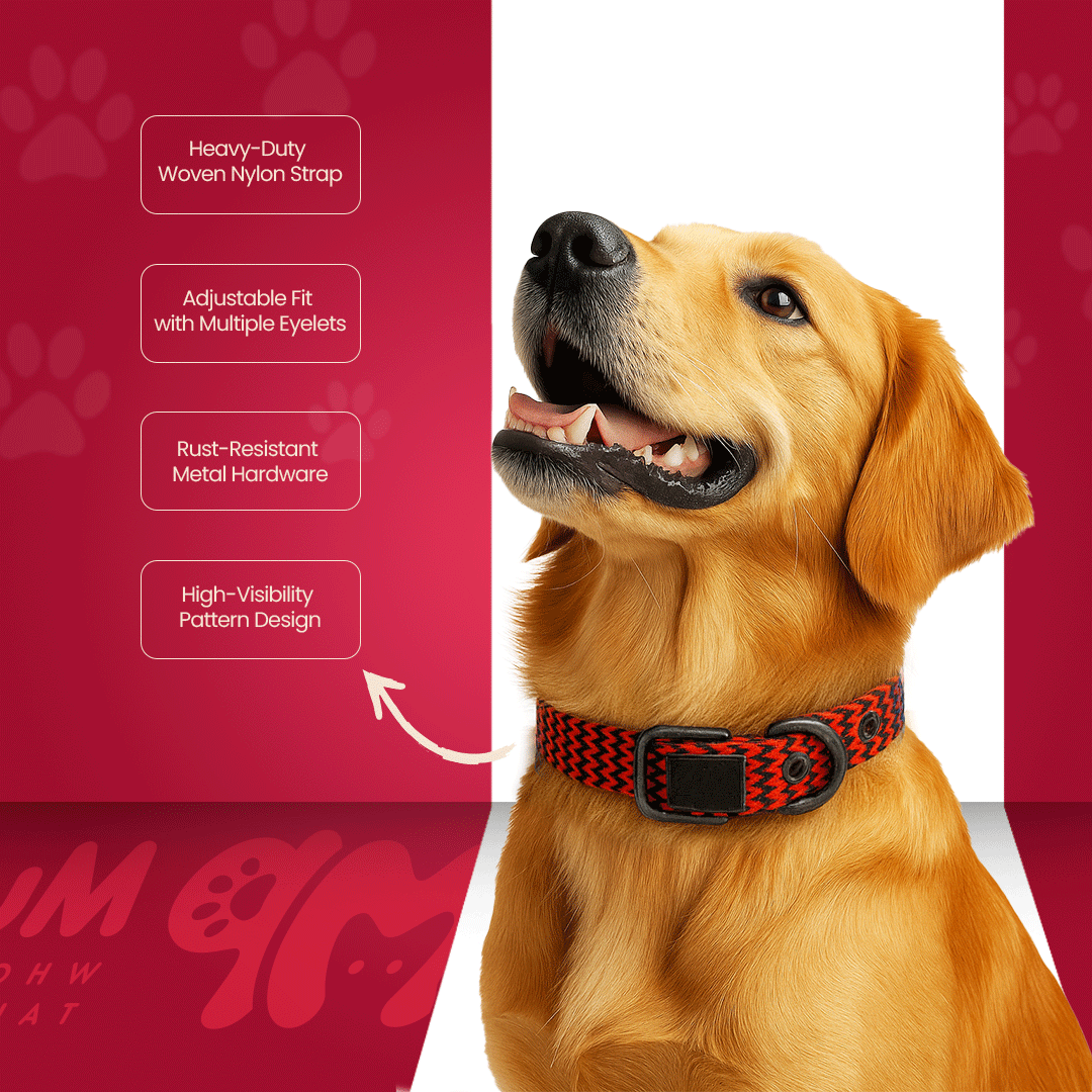 Nylon Itch Collar 0.75inch For Dogs & Puppy