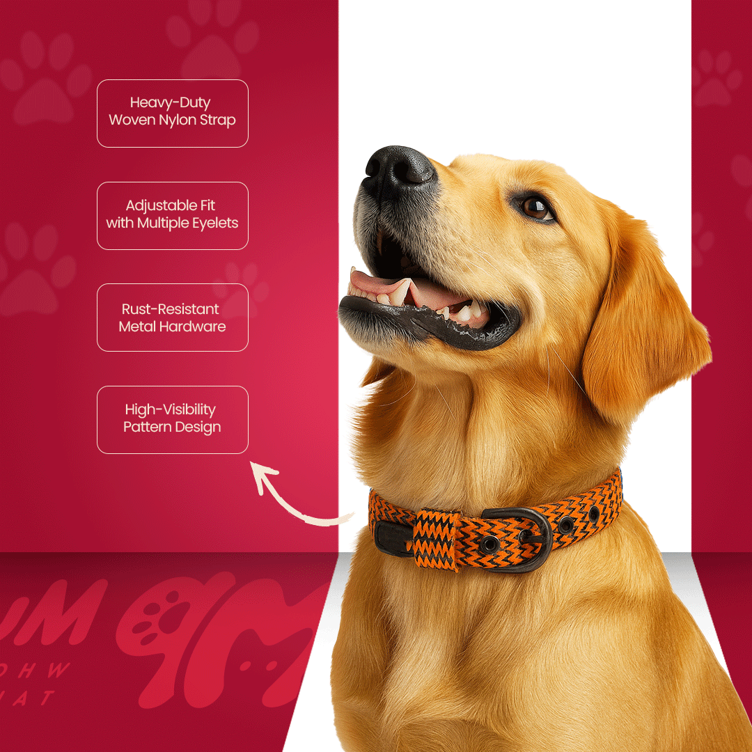 Nylon Itch Collar 0.75inch For Dogs & Puppy