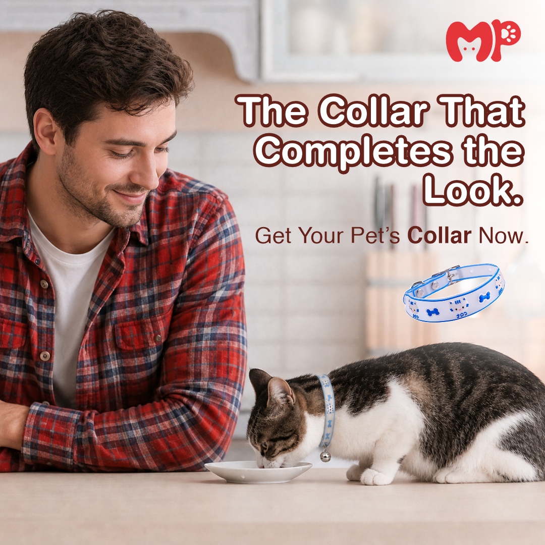 Reflective Silicone Cat Collar with Bell | Adjustable Waterproof Pet Neck Strap for Cats & Small Pets