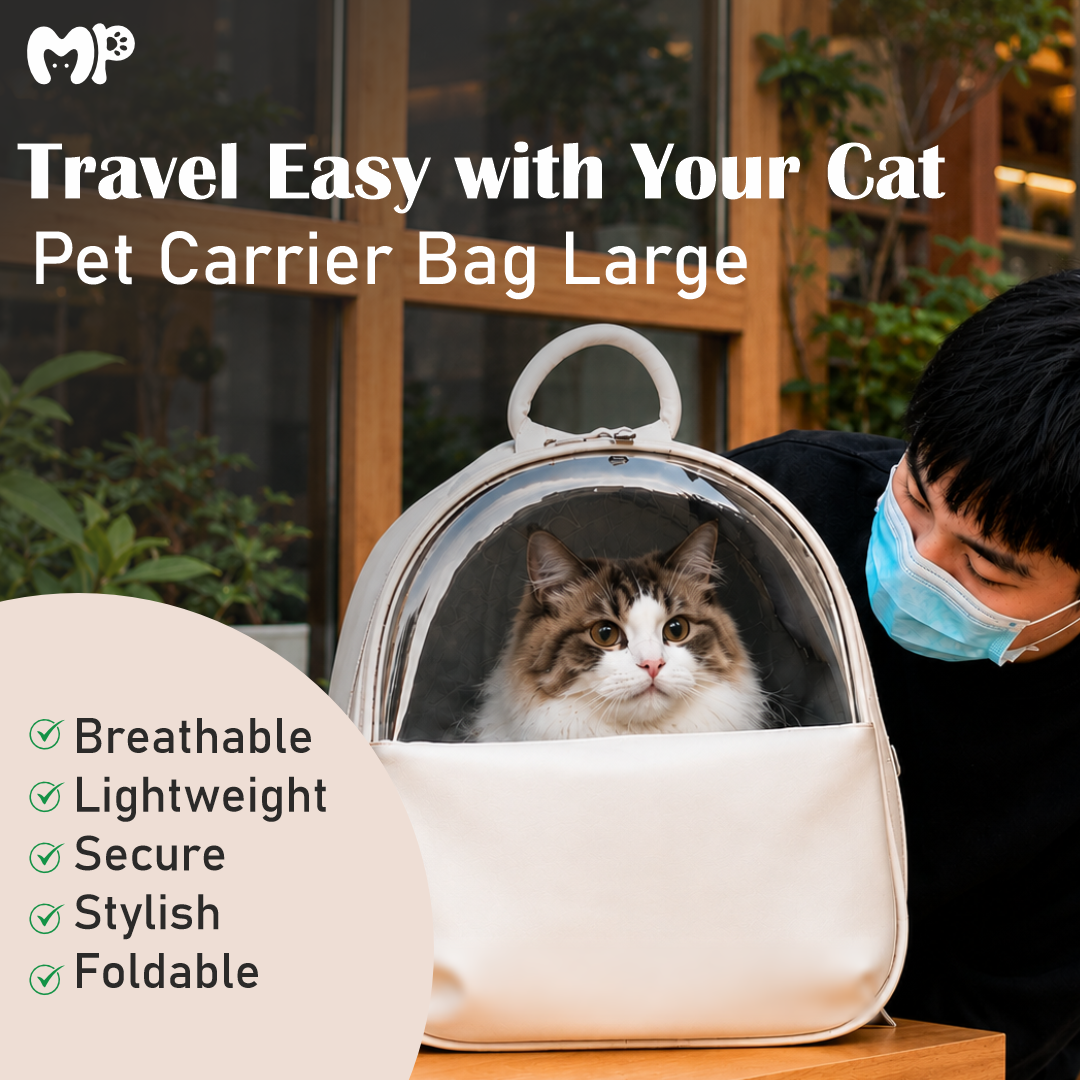 Premium Leather Pet Carrier Backpack with Large Transparent Window | Comfort Dual-Strap Travel Bag with Removable Soft Pad for Cats and Small Dogs