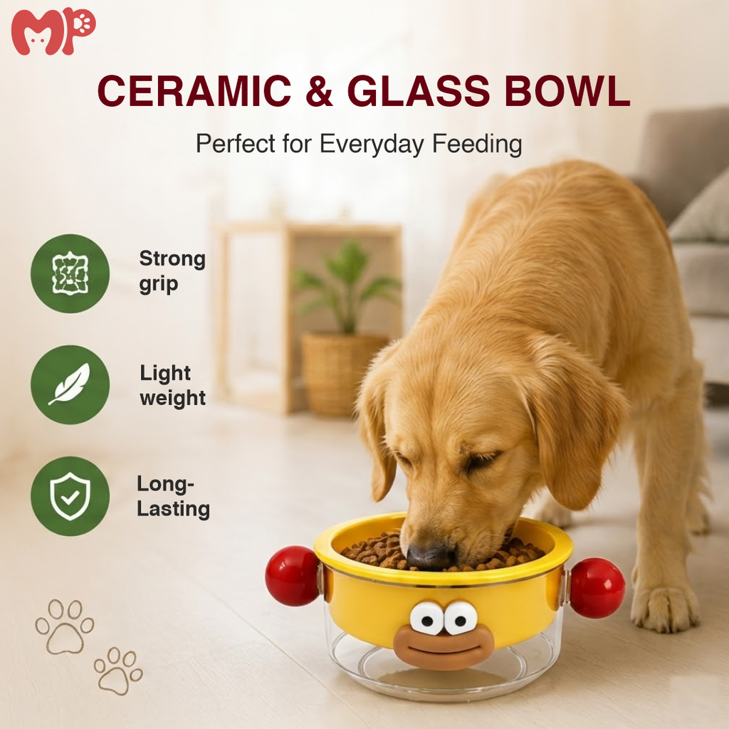Premium Ceramic & Glass Dual-Layer Pet Bowl | Anti-Slip | Mess-Free Elevated Food & Water Feeder for Cats and Dogs (Cute Animated Design)
