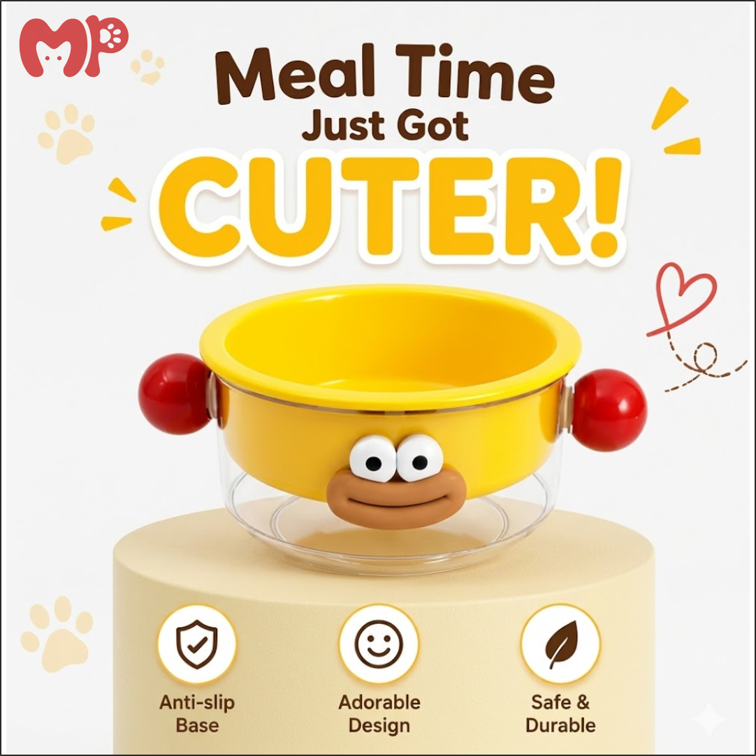 Premium Ceramic & Glass Dual-Layer Pet Bowl | Anti-Slip | Mess-Free Elevated Food & Water Feeder for Cats and Dogs (Cute Animated Design)
