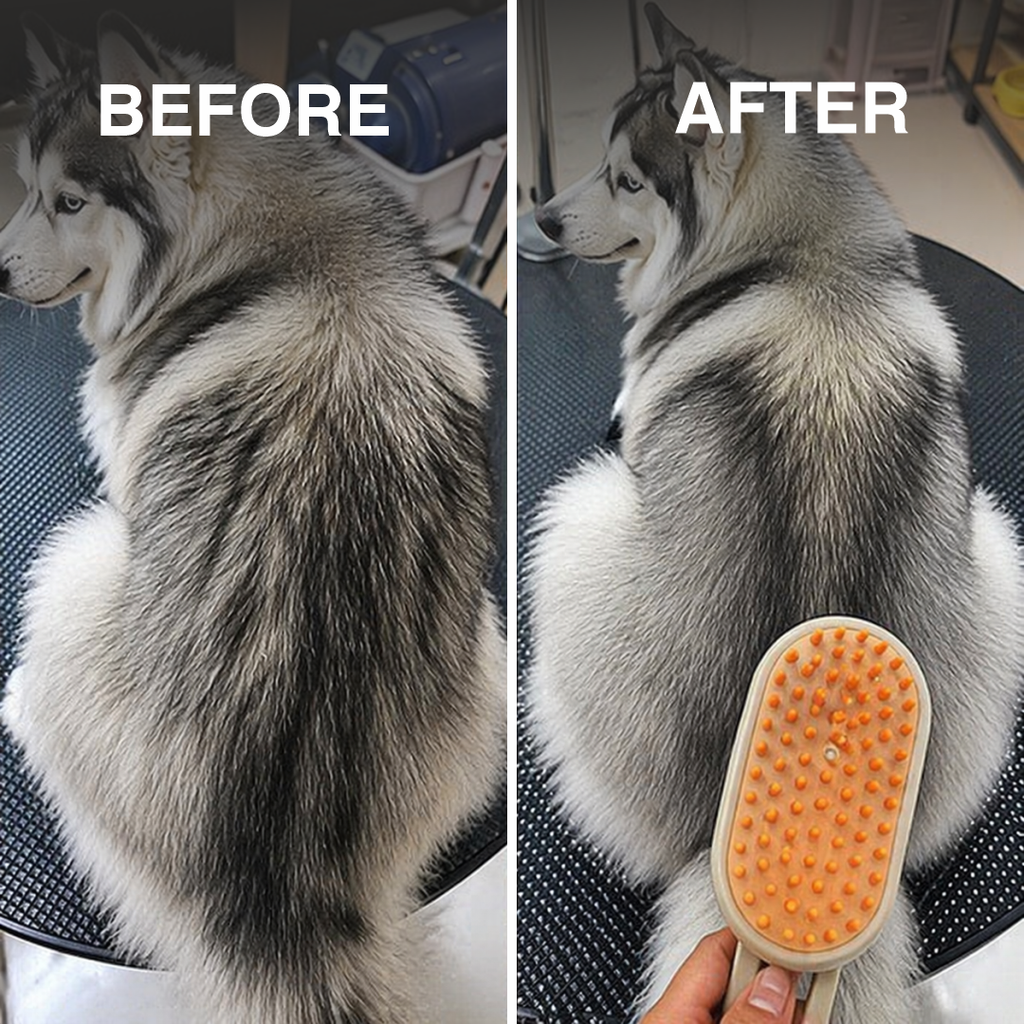 Electric Pet Steamer & Massage Brush for Cats and Dogs with Handle | Gentle Steam Grooming Tool for Shedding, Detangling & Relaxing Pet Massage | Safe & Easy Pet Hair Care Brush