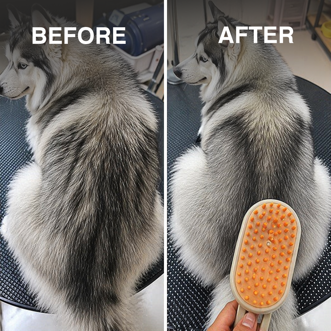 Electric Pet Steamer & Massage Brush for Cats and Dogs with Handle | Gentle Steam Grooming Tool for Shedding, Detangling & Relaxing Pet Massage | Safe & Easy Pet Hair Care Brush