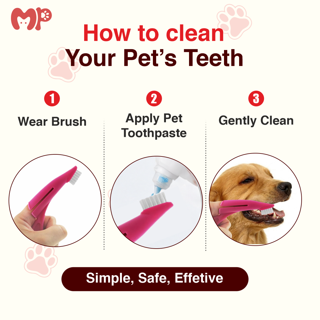 Ergonomic Pet Finger Toothbrush (Pack of 2) for Dogs and Cats – Soft Bristles | Gentle Gum Care | Easy-to-Use Finger Sleeve Design for Effective Dental Cleaning | Fresh Breath Maintenance