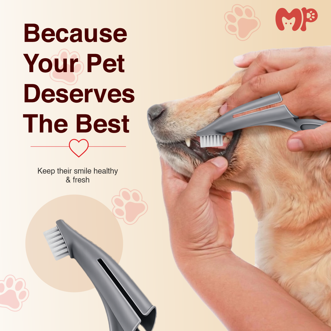 Ergonomic Pet Finger Toothbrush (Pack of 2) for Dogs and Cats – Soft Bristles | Gentle Gum Care | Easy-to-Use Finger Sleeve Design for Effective Dental Cleaning | Fresh Breath Maintenance