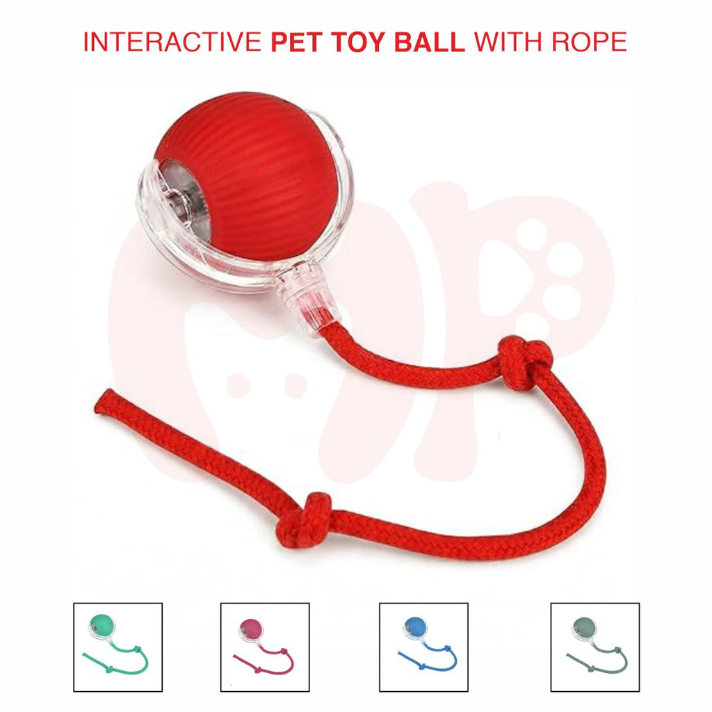 Self-Moving Interactive Pet Ball Toy with LED Light | 360 Automatic Movement | Smart Obstacle Avoidance | Rope | for Dogs and Cats