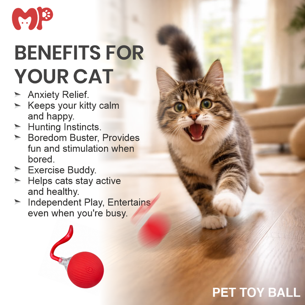 Silicone Cat Toy Ball – Interactive Round Pet Play Ball with Flexible Tail | Indoor Cat Exercise & Hunting Toy