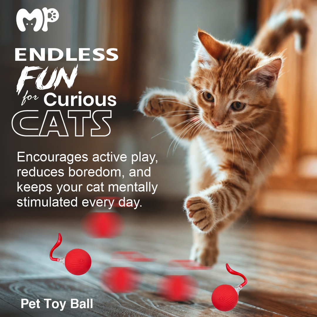 Silicone Cat Toy Ball – Interactive Round Pet Play Ball with Flexible Tail | Indoor Cat Exercise & Hunting Toy