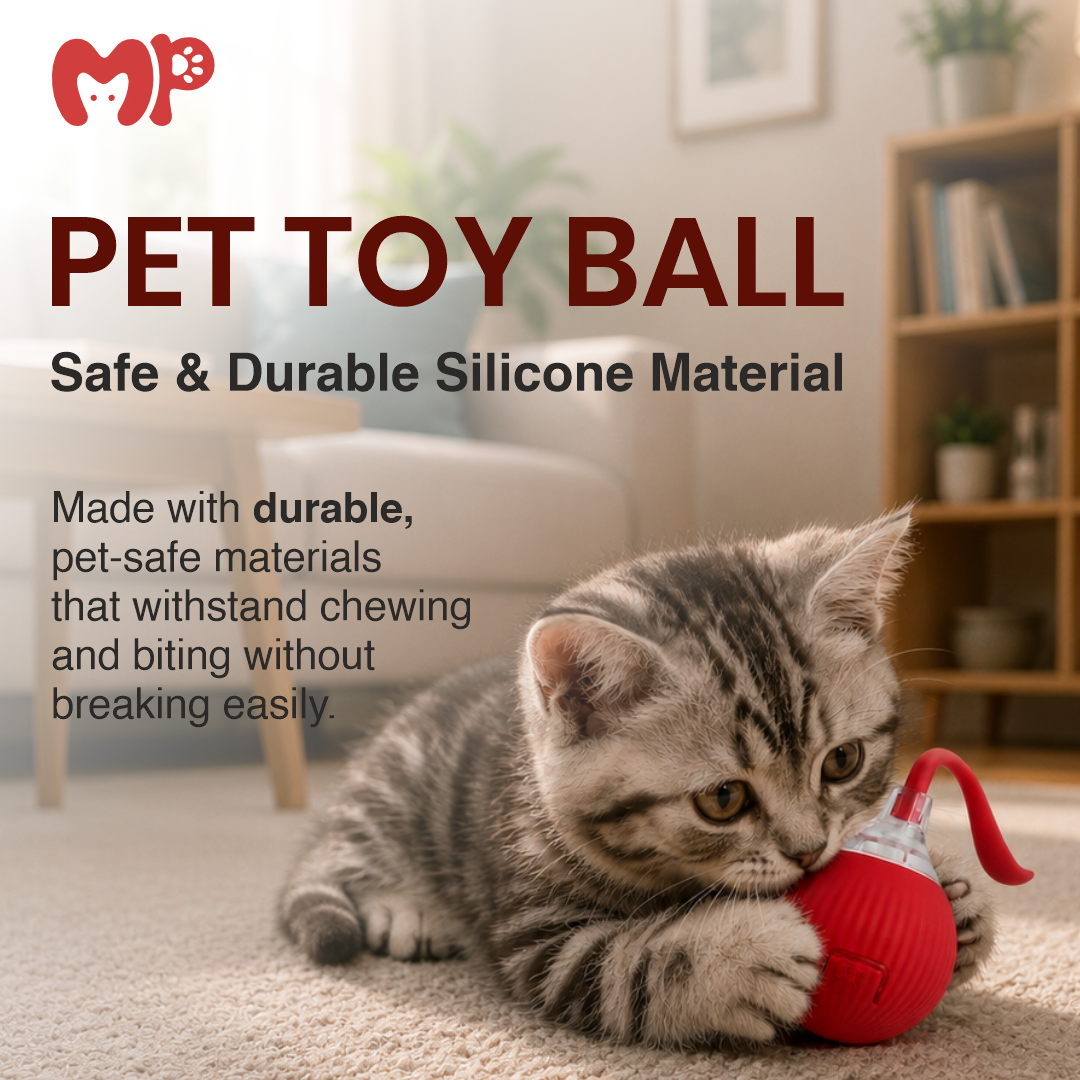 Silicone Cat Toy Ball – Interactive Round Pet Play Ball with Flexible Tail | Indoor Cat Exercise & Hunting Toy