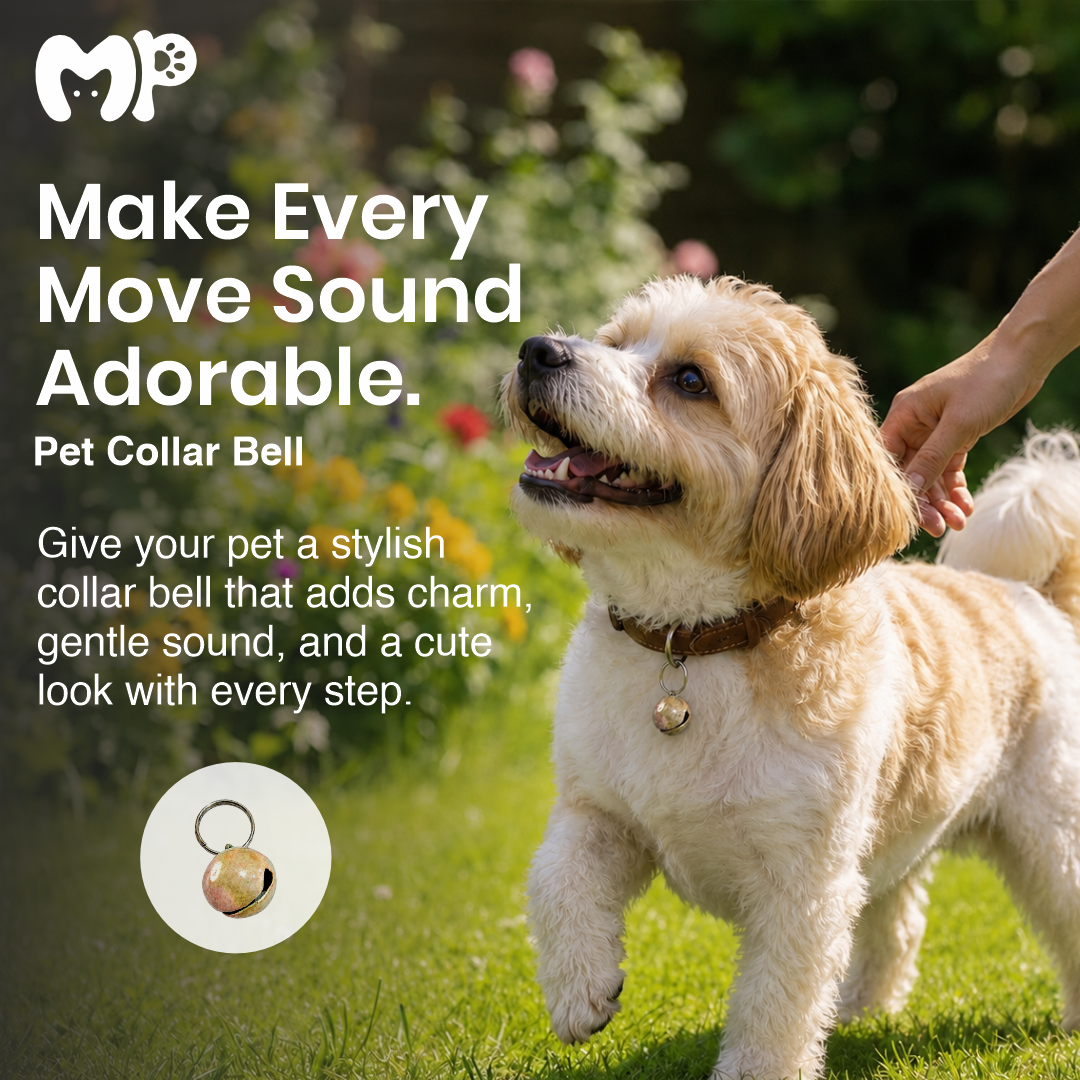 Colorful Metal Pet Collar Bell | Lightweight Hanging Bell Charm for Cat & Dog Collars