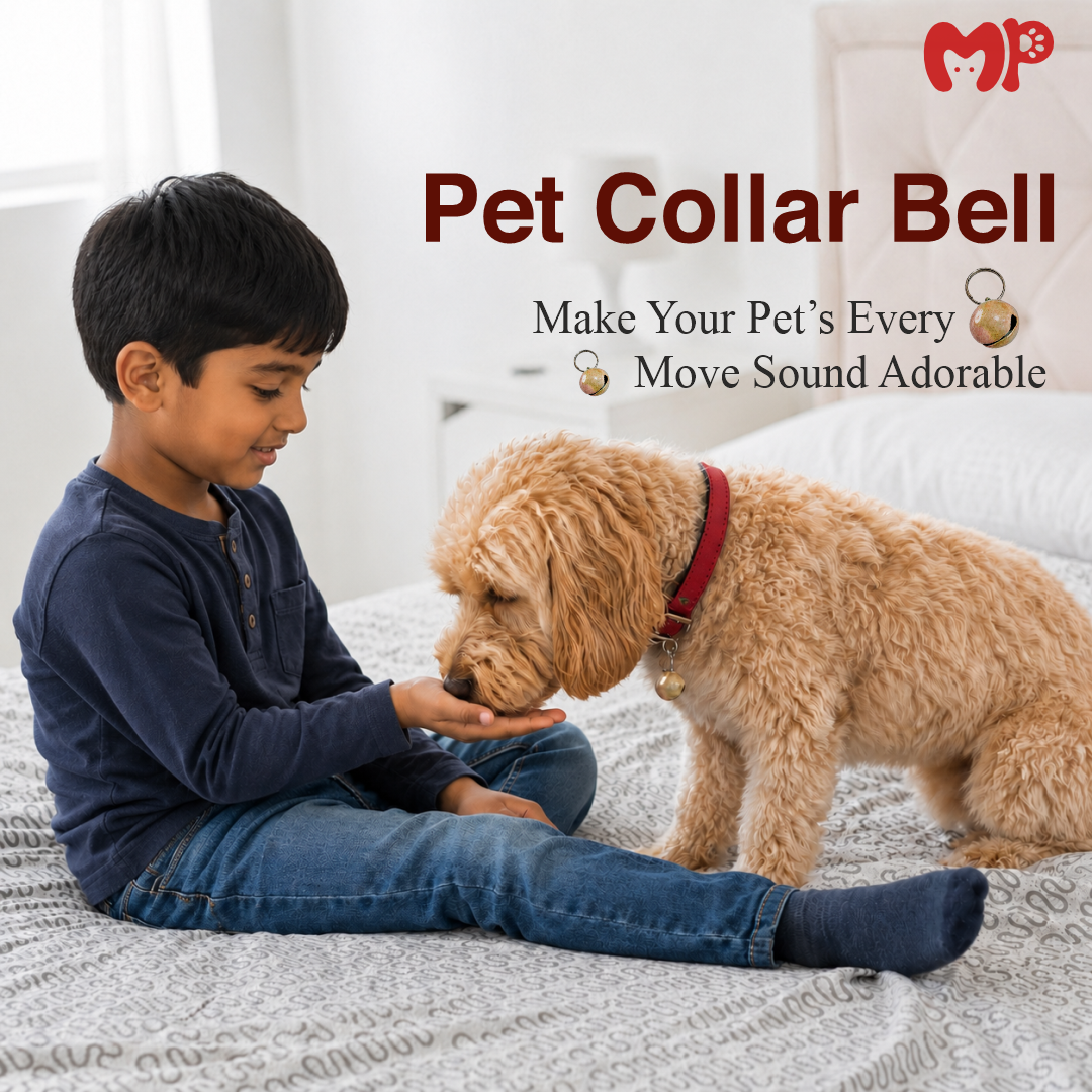 Colorful Metal Pet Collar Bell | Lightweight Hanging Bell Charm for Cat & Dog Collars