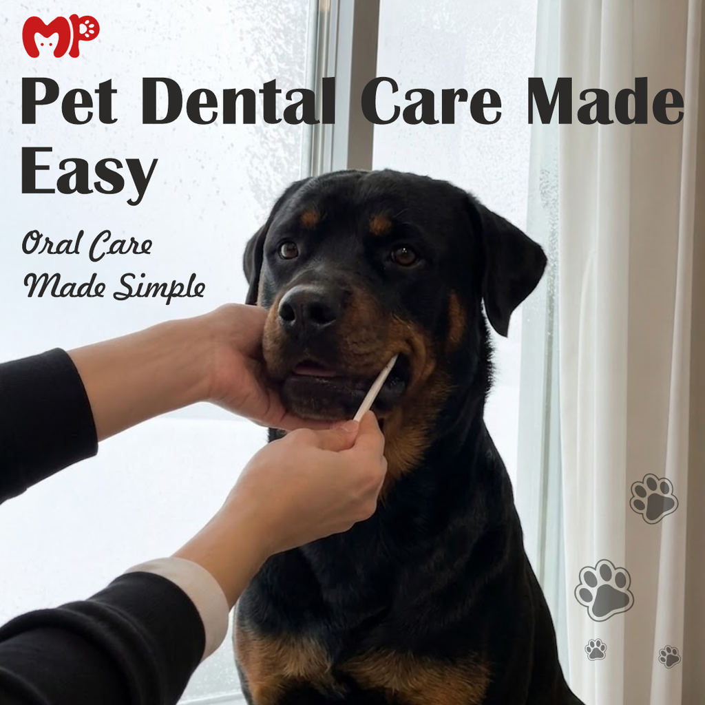 Complete 5-Piece Pet Toothbrush Kit for Dogs & Cats | Multi-Angle Dental Care Set with 2 Different Types of Bristles (Ultra-Soft Flossing & Silicone Massage Bristles) | Non-Electric Manual Grooming Tool