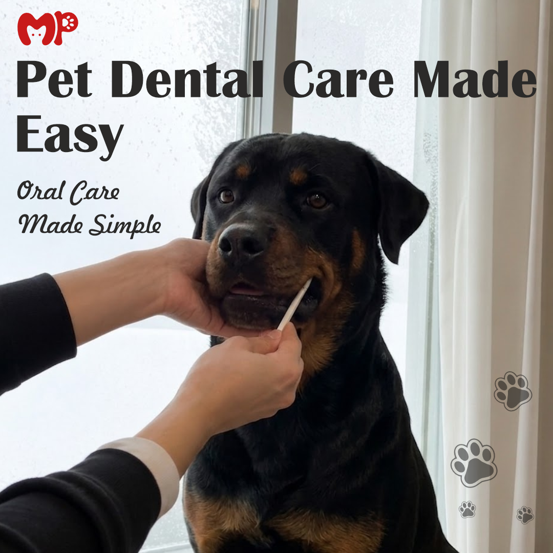Complete 5-Piece Pet Toothbrush Kit for Dogs & Cats | Multi-Angle Dental Care Set with 2 Different Types of Bristles (Ultra-Soft Flossing & Silicone Massage Bristles) | Non-Electric Manual Grooming Tool