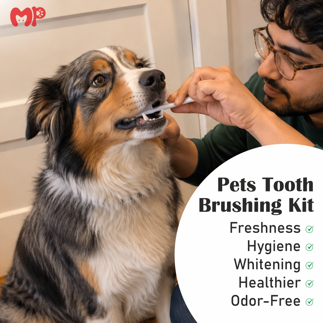 Complete 5-Piece Pet Toothbrush Kit for Dogs & Cats | Multi-Angle Dental Care Set with 2 Different Types of Bristles (Ultra-Soft Flossing & Silicone Massage Bristles) | Non-Electric Manual Grooming Tool