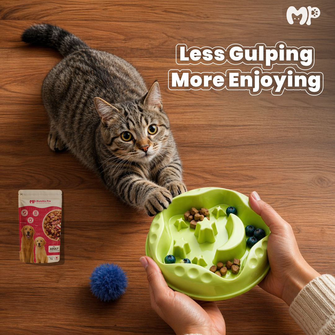 Interactive Pet Slow Feeder Dog Bowl | Non-Slip Base | Prevents Bloating | Supports Better Digestion