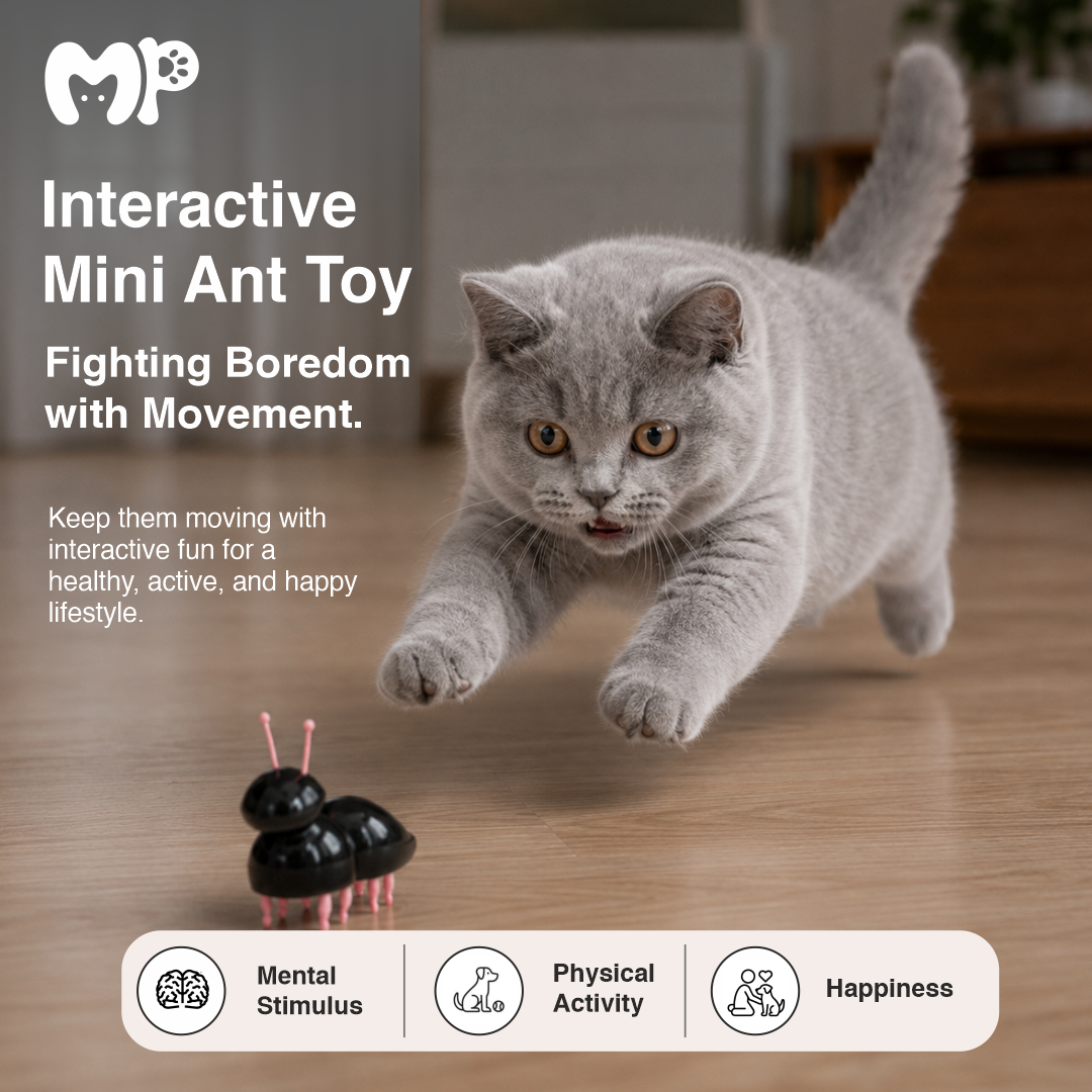 Interactive Micro Vibrating Ant Cat Toy – Battery Operated Random Moving Electronic Bug Puzzle for Indoor Cats | Kittens