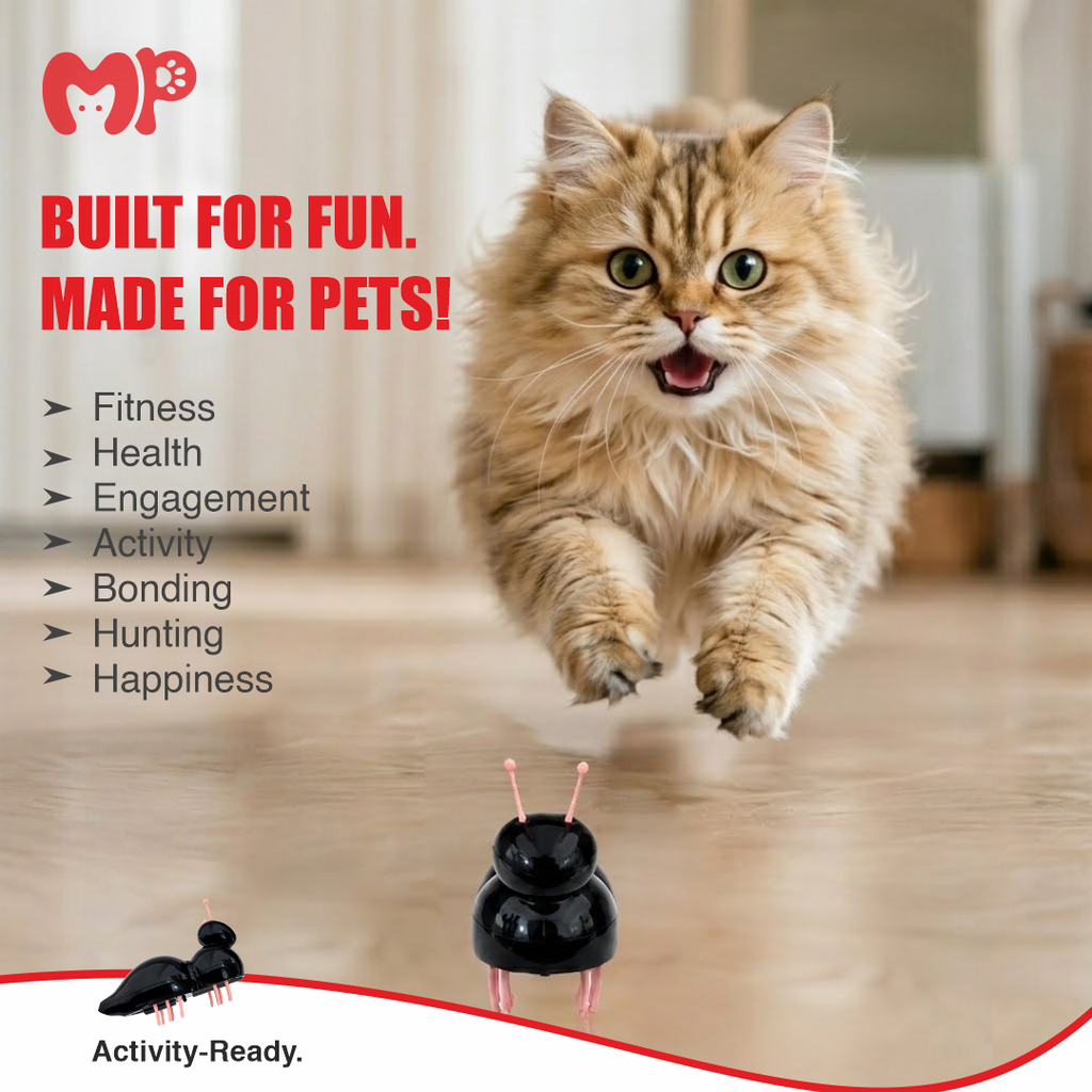 Interactive Micro Vibrating Ant Cat Toy – Battery Operated Random Moving Electronic Bug Puzzle for Indoor Cats | Kittens