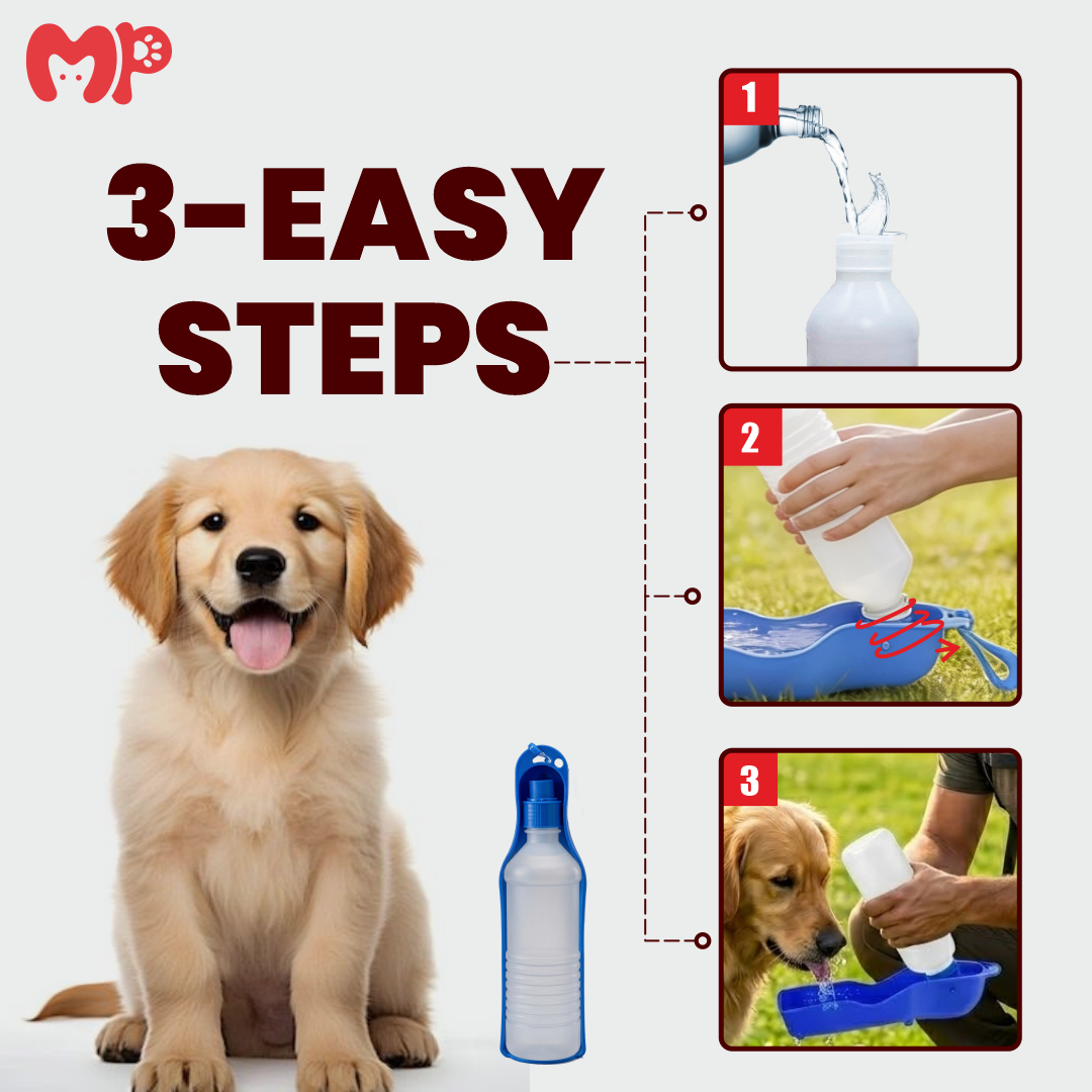 Portable Foldable Travel Pet Water Bottle with Leak- Proof Design, Travel Friendly, Compact| Available in 250ml and 500ml